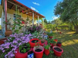 Ein Haus mit Veranda, Blumentöpfen und einem Garten.