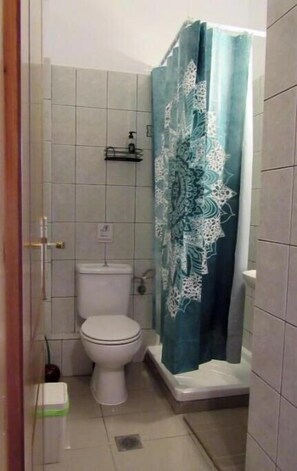Shower, hair dryer, towels, toilet paper - 1 Bedroom Apartment with Terrace and Aegean Sea View (Chrysi Ammoudia)