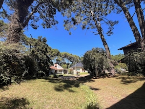 A residential area with houses, a clear sky, and a grassy lawn.