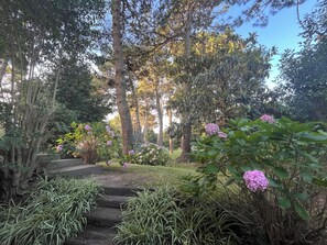 A garden pathway surrounded by lush greenery and flowering plants.