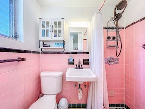 A bathroom with pink tiles, a toilet, a sink, a cabinet with toiletries, and a shower with a handheld showerhead. - Cozy studio in fantastic Dunedin with refreshing AC (Dunedin)