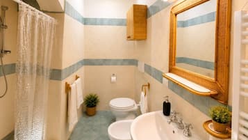 Dusche, Haartrockner, Handtücher