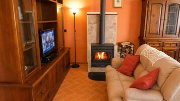 Fernseher
