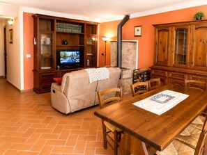 Un salon comprenant un canapé, un téléviseur, des meubles en bois et une cheminée.