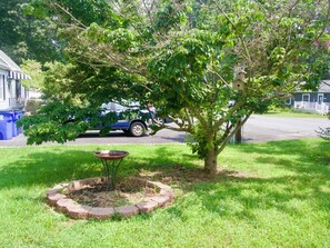 A tree in a landscaped area with a bird feeder and a paved driveway in the background.