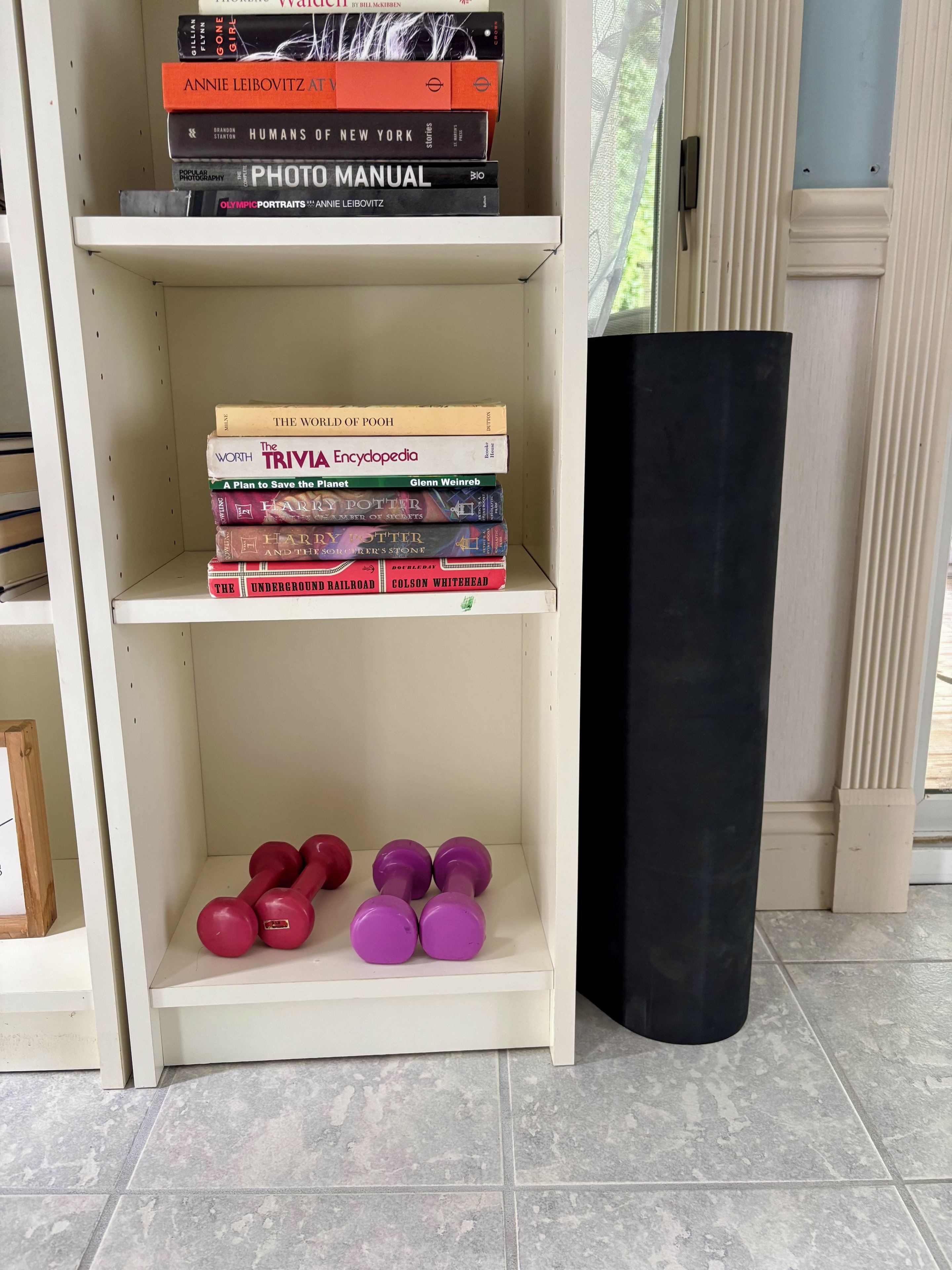 Una estantería con varios libros y un par de pesas.