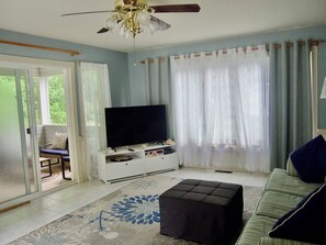 Smart TV, books, stereo