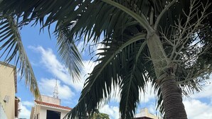 A swimming pool surrounded by a white building with a red roof, palm trees, and a clear sky. - Incredible house with pool and garden (Cancún)