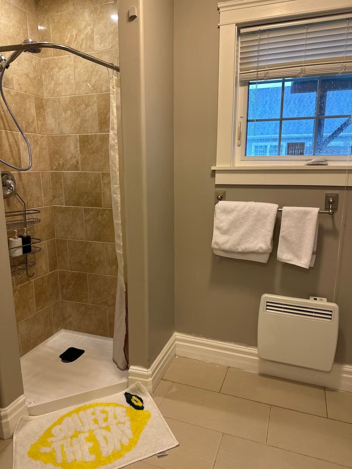 Shower, bidet, towels, soap