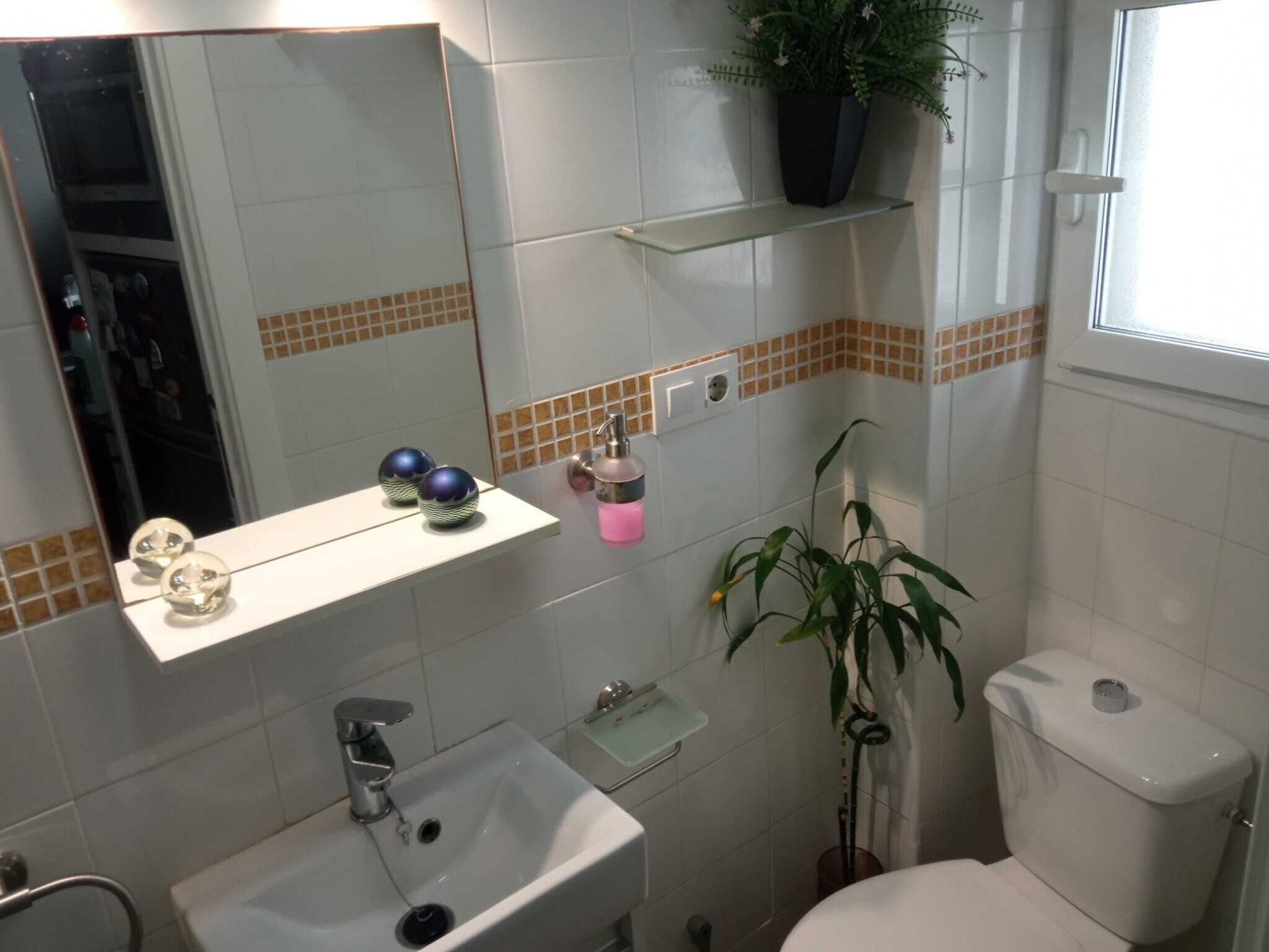 Een badkamer met een witte wastafel, spiegel, toilet en een plankje met een potplant.