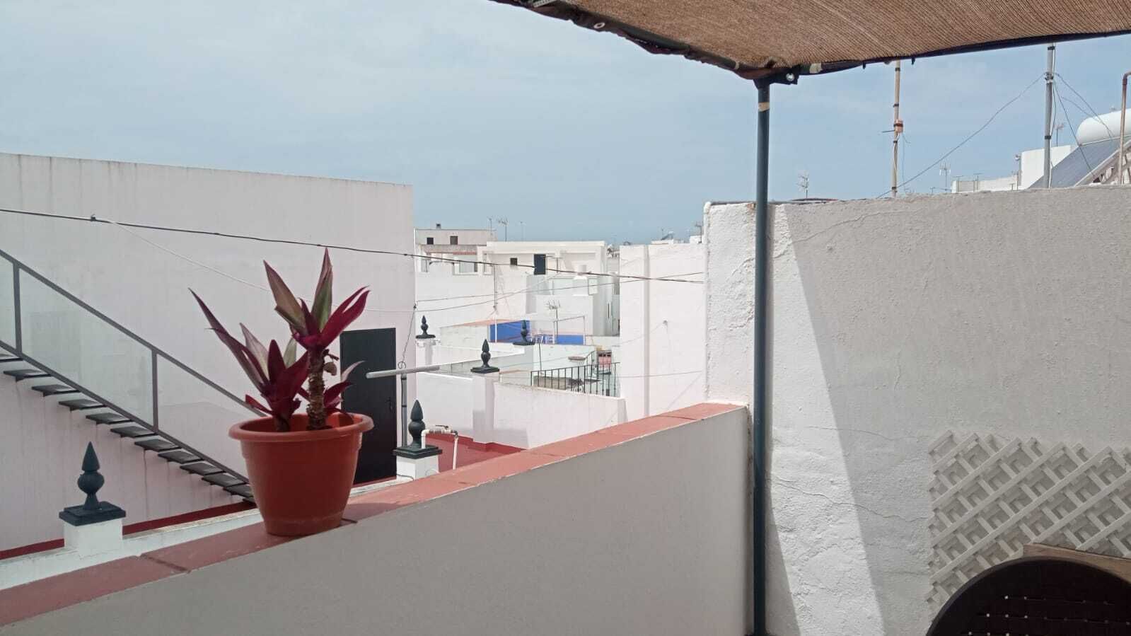 A rooftop terrace with a potted plant, a staircase, and a view of buildings in the background.