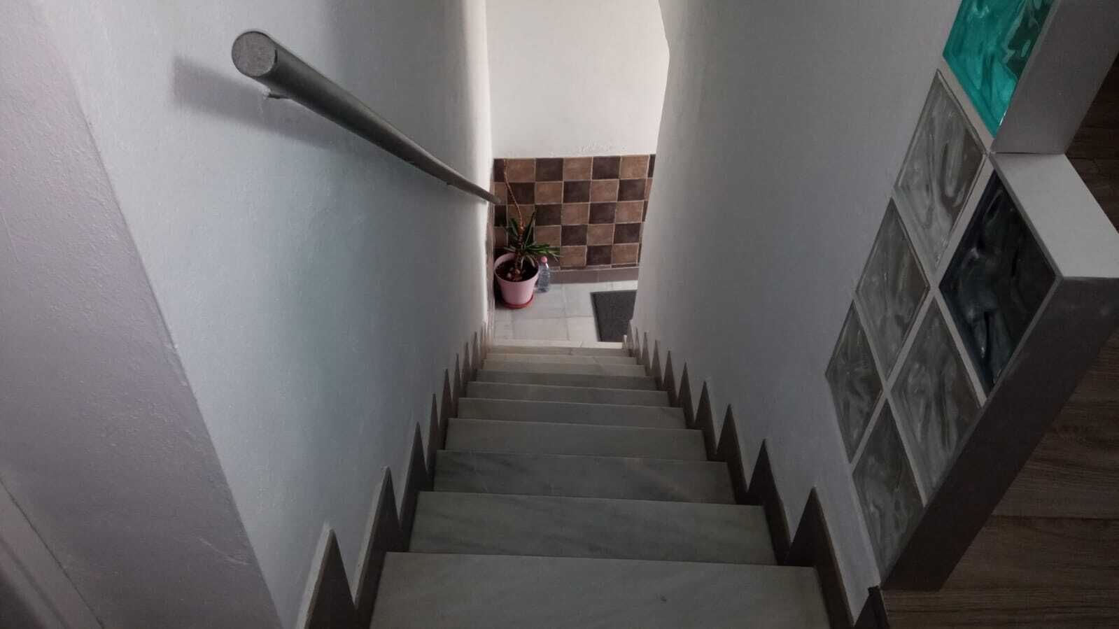 Eine Treppe mit Handlauf, einem Blumentopf und einer Wand mit geometrischem Muster.
