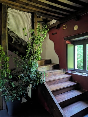 Un escalier avec des marches en bois, un espace dĂ©limitĂ© par un filet et une fenĂȘtre donnant sur la verdure.