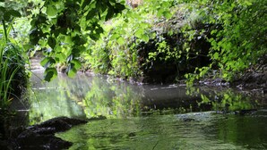 A natural water body surrounded by dense greenery. - LA TUILERIE DU CINEASTE An immersive bed and breakfast on the Côte D'Or cinema scene (Courlon)
