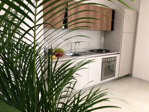 Eine moderne Küche mit weißen Schränken, Edelstahlgeräten und einem Blumentopf.