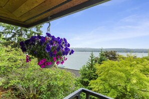 Ein hängender Blumenkorb mit violetten Blüten, eine Holzbalkendecke und Blick auf einen See mit Bäumen im Hintergrund.