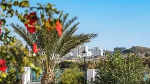A palm tree with red flowers, a clear blue sky, and a cityscape in the background.