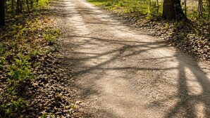 A dirt path leading to a small cabin surrounded by trees. - This house is a 2 bedroom(s), 2 bathrooms, located in Kalkaska, MI. (Kalkaska)