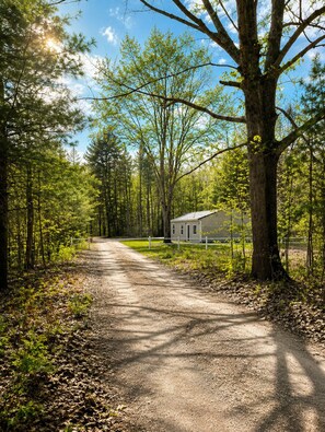 A dirt path leading to a small cabin surrounded by trees.