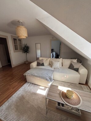 Living area - T3 apartment in city center (Le Mans)