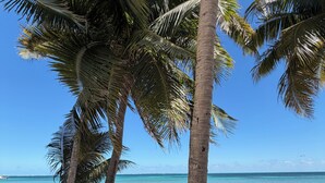 A beach with palm trees, clear blue water, and a sandy shore. - Beachfront apartment (Cancún)