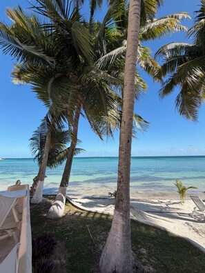 Ein Strand mit Palmen, klarem blauen Wasser und einem sandigen Ufer.