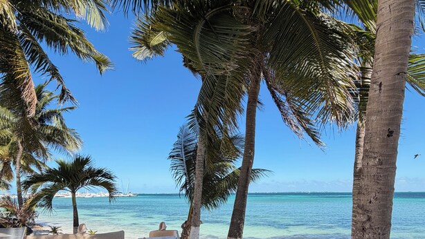 A beach with palm trees, lounge chairs, and a clear view of the ocean. - Beachfront apartment (Cancún)