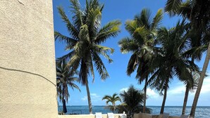 A pool with clear blue water, surrounded by white lounge chairs and palm trees, with a view of the ocean. - Beachfront apartment (Cancún)