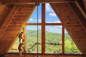 Ein Holzinnenraum mit einem großen Fenster, das einen Blick auf ein bewaldetes Gebirge bietet.
