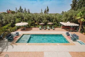 Una piscina rectangular con sillones de baño y sombrillas, rodeada de vegetación y árboles.
