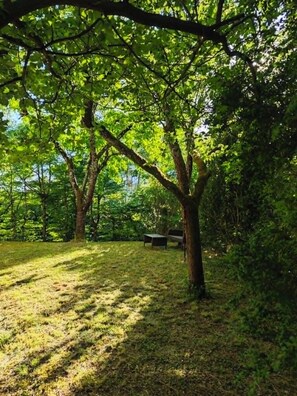 Een park met een bankje en bomen.