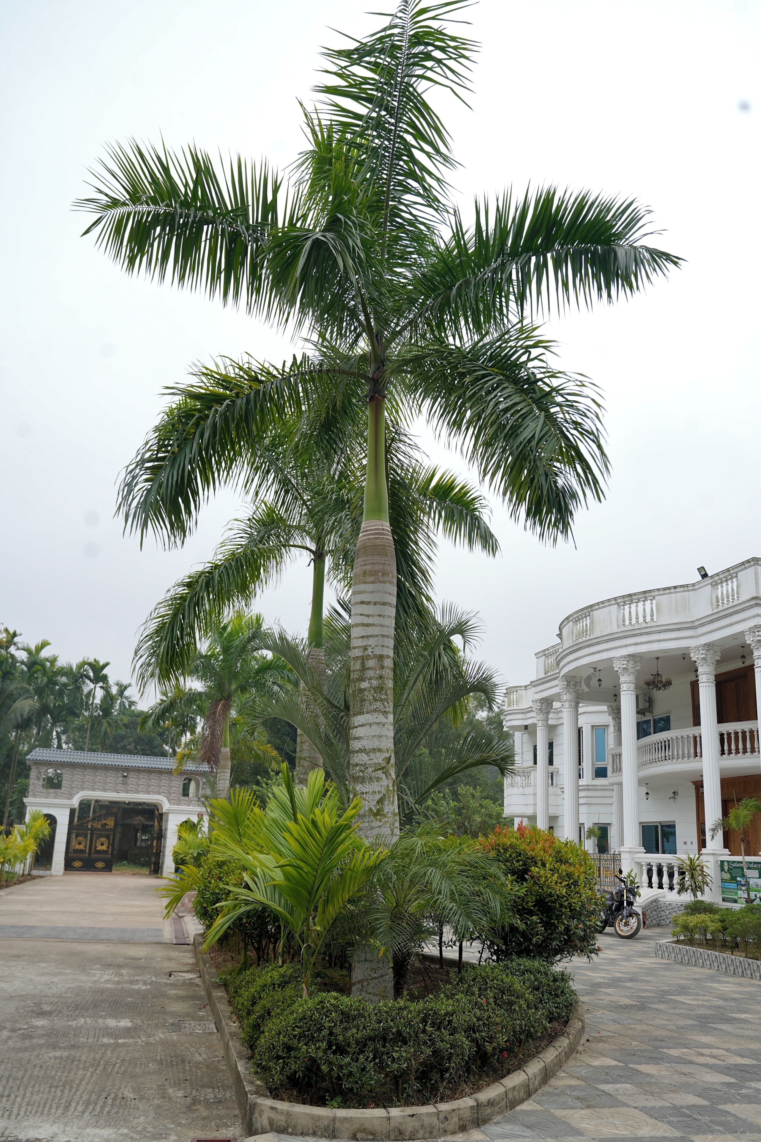 Um edifício com fachada branca, colunas e varanda.