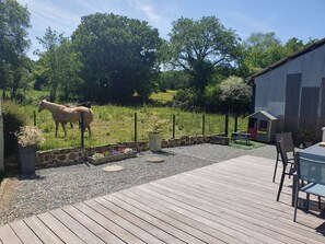 A wooden deck, a fenced area with a horse, a small playhouse, and a building with a corrugated metal exterior.