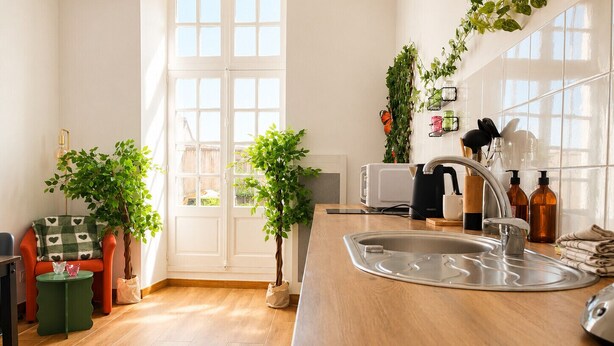 A kitchen with a sink, a toaster, and a coffee maker. There are two potted plants and a chair. - Cosy apartment in the heart of Angers historic district – Terrace & comfort – Sleeps 2 (Angers)