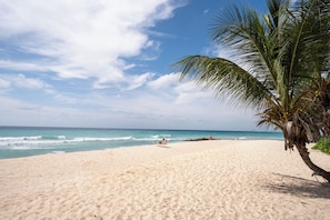 Una playa con una palmera, olas del océano y una persona a lo lejos.