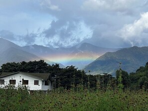 Ein weißes Gebäude mit geneigtem Dach, umgeben von einem Feld hoher Pflanzen und Bergen im Hintergrund.