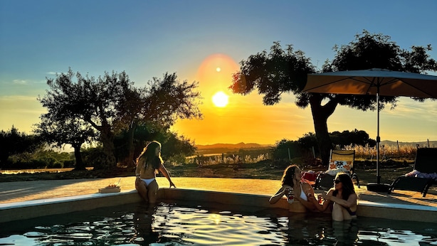 Una piscina con vista al atardecer, rodeada de árboles y una zona techada.
