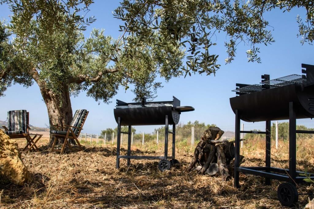 Un espacio al aire libre con un árbol, una parrilla y una silla.