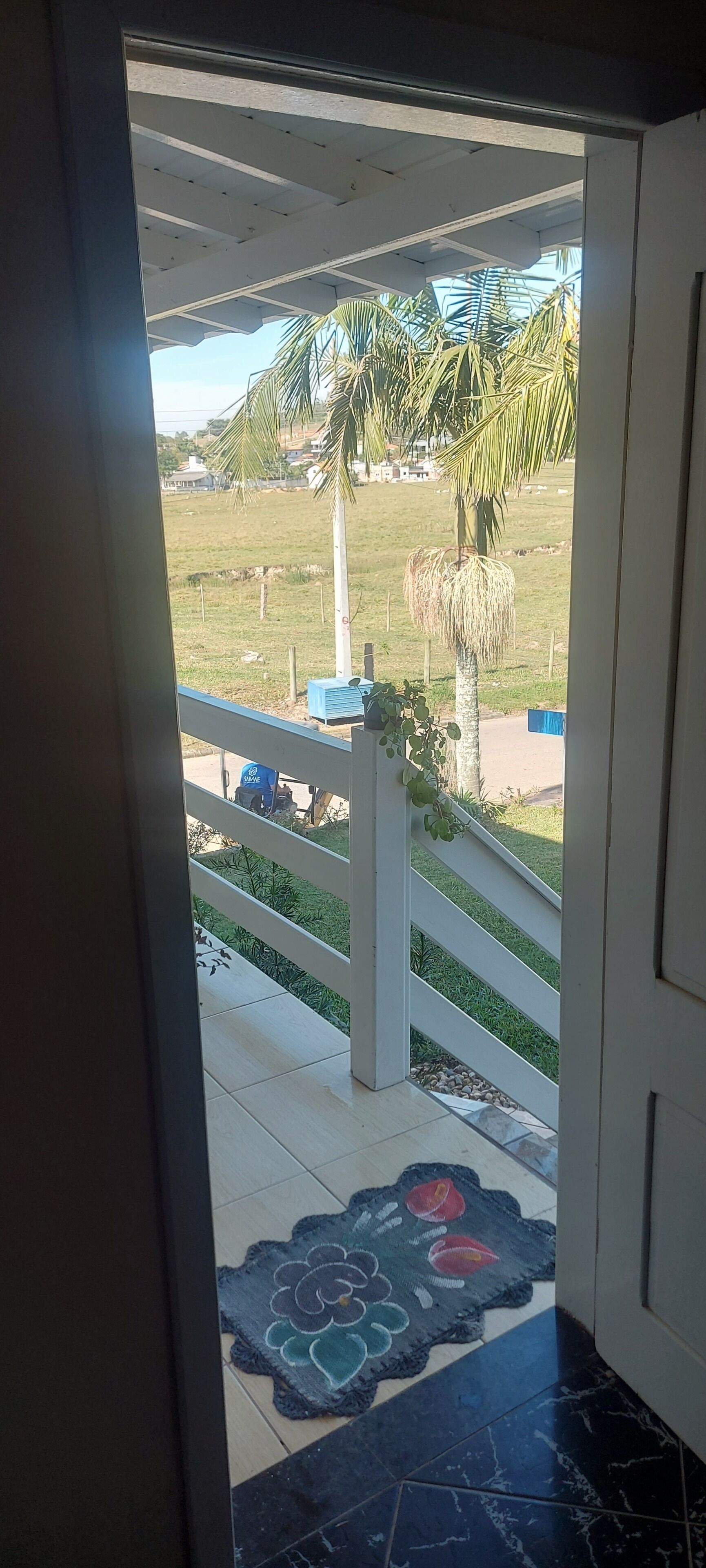 Uitzicht vanuit een deuropening op een buitengebied met betegelde vloer, een witte balustrade en een palmboom.