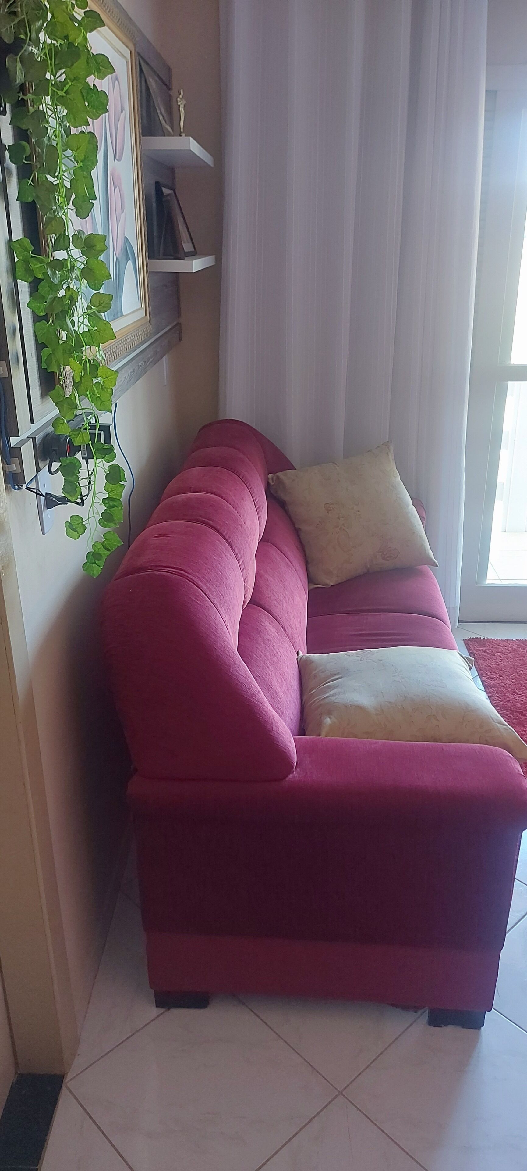 A red sofa with two pillows, a wall-mounted shelf with a framed picture, and a hanging plant.