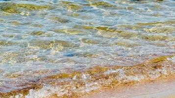 Playa en los alrededores