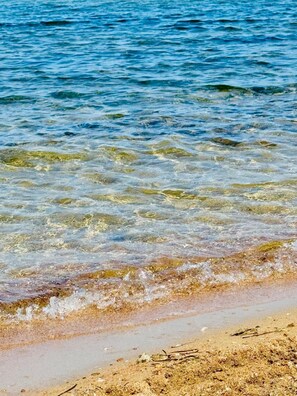 Uma praia com água cristalina, areal arenoso e alguma vegetação marinha.