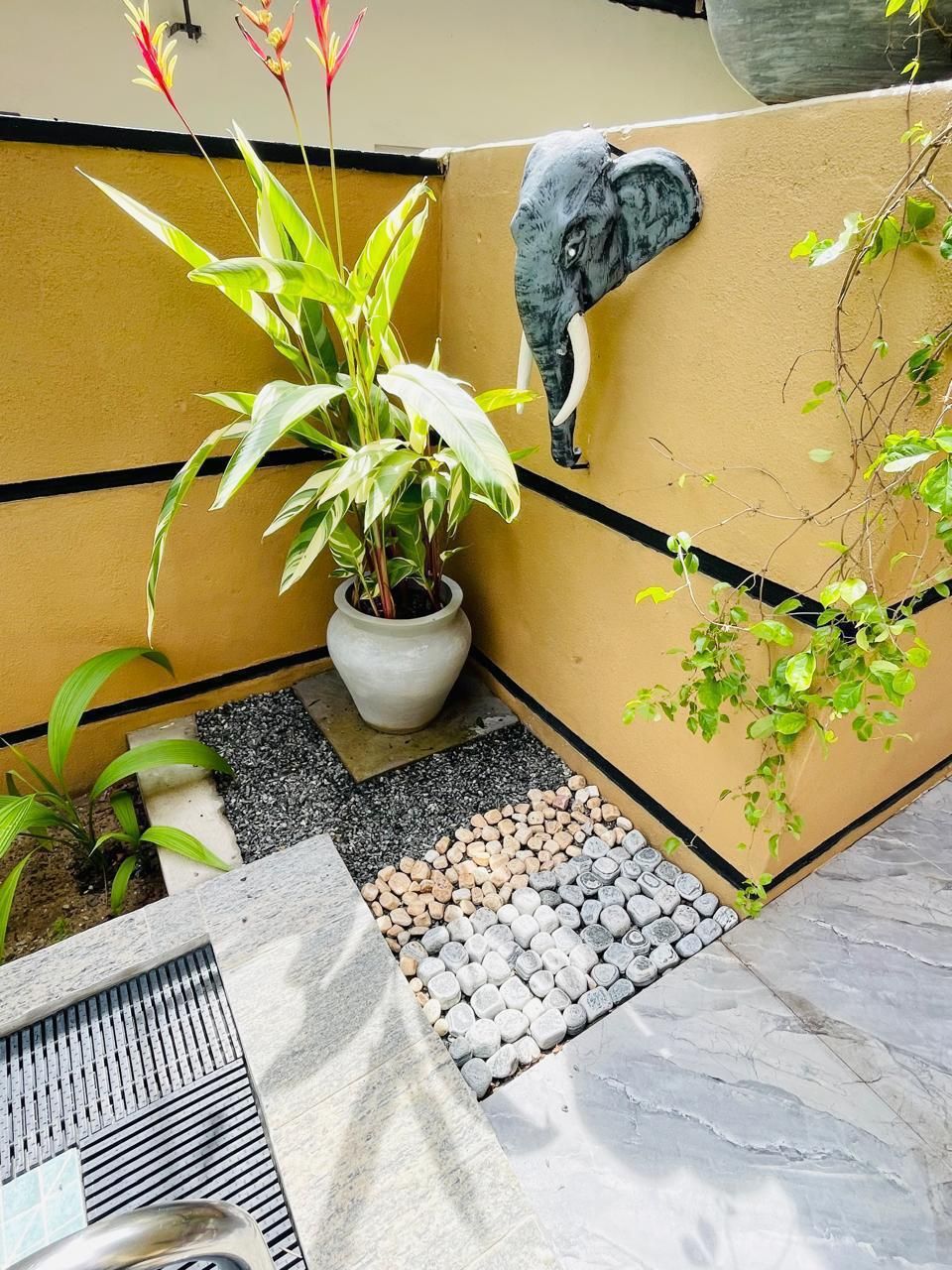 Une plante en pot aux larges feuilles, un bac à fleurs en béton et une sculpture d’éléphant fixée au mur.
