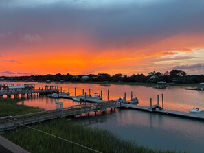A marina with docked boats, a wooden pier, and houses in the background.