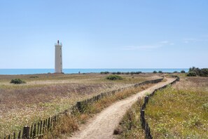 A coastal path leading to a lighthouse, surrounded by natural vegetation and a clear sky.