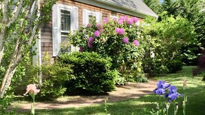 Ein Haus mit Garten, einem Pfad und verschiedenen Pflanzen und Blumen.