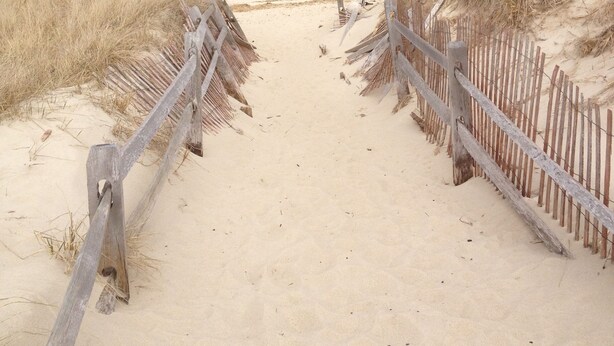 Ein Sandweg am Strand, der zum Meer führt, umgeben von Dünen.