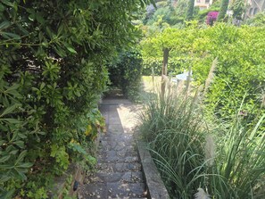 Ein gepflasterter Weg schlängelt sich durch einen üppigen Garten mit dichtem Grün und vielfältigen Pflanzen.