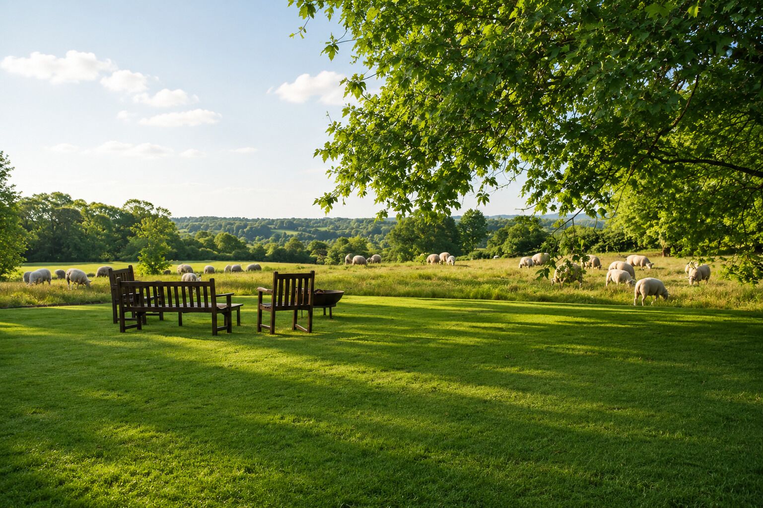 A grassy field with a bench and a wheelbarrow, sheep grazing in the background.