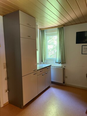A room with a kitchenette, a window with curtains, a radiator, and a framed picture on the wall.